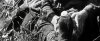 IMG_6521.jpeg