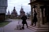 ^Юность петра.jpg6.jpg