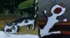 IMG_6809.jpeg