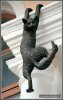 коты 4.jpg