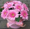 158497475_VERE_2931941754.jpg