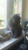 20160608_140116.jpg