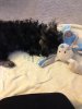 333.jpg