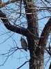 IMG-20180502-WA0000.jpg