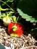 20180619_113127-1728x2304-864x1152.jpg