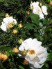 20180626_085538-864x1152.jpg