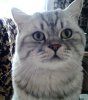 photofacefun_com_1533451095.jpg