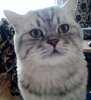 photofacefun_com_1533451253.jpg