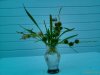 Lenovo_A1000_IMG_20180905_191552.jpg
