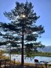 IMG-20180923-WA0001.jpg