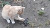 20180921_181544_resized.jpg