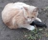 20180921_190958_resized.jpg
