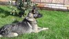 20180928_140723_resized.jpg