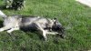 20180928_121224_resized.jpg