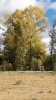 20181001_091350_resized.jpg