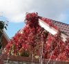20181001_090802_resized.jpg