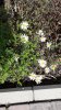 20180928_114939_resized.jpg
