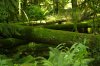 38079_409285011190_404624_n.jpg