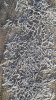 20181031_083225_resized.jpg
