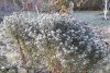 20181031_103351_resized.jpg