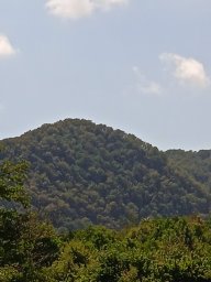 rej